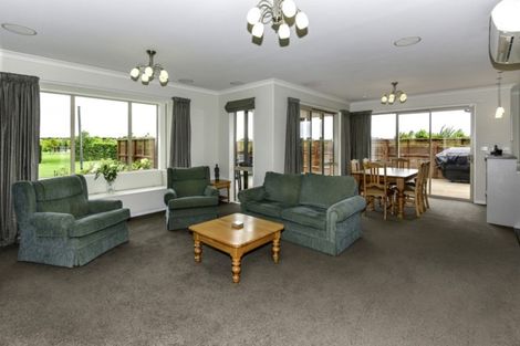 Photo of property in 17 Mchugh Crescent, Darfield, 7510