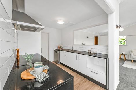 Photo of property in 113a Fisher Avenue, Beckenham, Christchurch, 8023