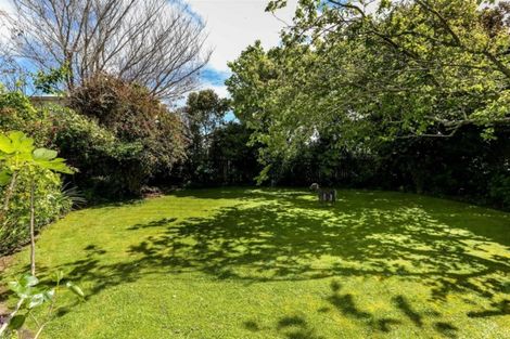 Photo of property in 37a Cameron Street, New Plymouth, 4310