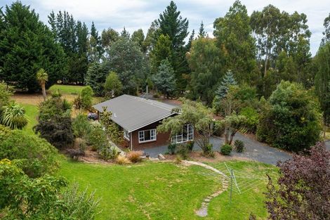 Photo of property in 15 Highland Road, Brighton, 9091