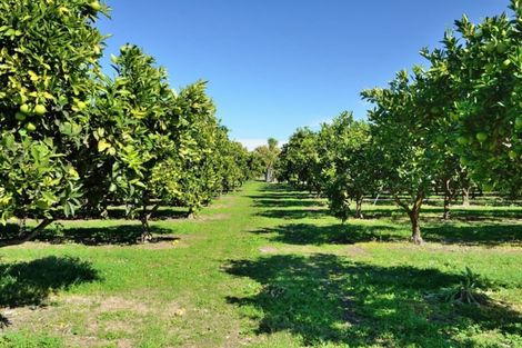 Photo of property in 982 Back Ormond Road, Makauri, Gisborne, 4071