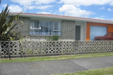Photo of property in 17 Freyberg Street, Feilding, 4702