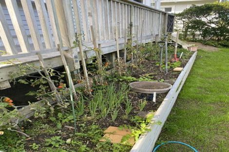 Photo of property in 13 Liardet Street, Vogeltown, Wellington, 6021