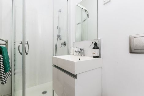 Photo of property in 96 Elizabeth Street, Mount Victoria, Wellington, 6011