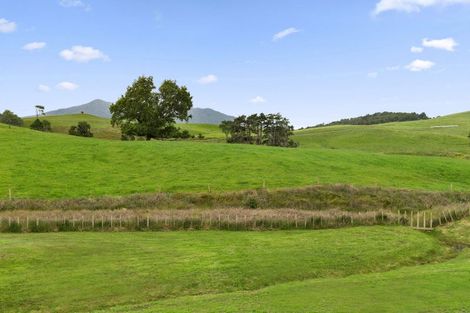 Photo of property in 64 Ruapuke Road, Raglan, 3296