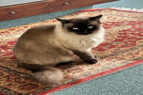 Photo of property in 6a Beach Road, Waikawa, Picton, 7220