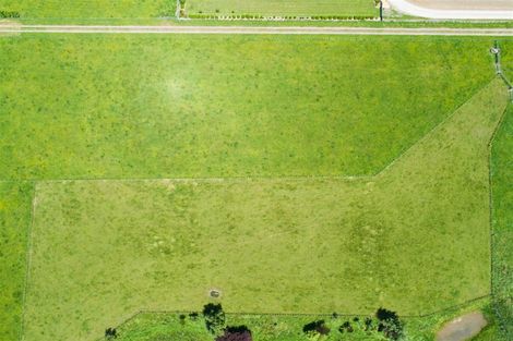 Photo of property in 81 Pukepapa Road, Marton, 4710