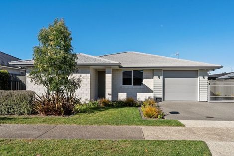 Photo of property in 3 Muddle Lane, Pyes Pa, Tauranga, 3112