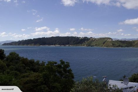 Photo of property in 1/194 Evans Bay Parade, Roseneath, Wellington, 6021