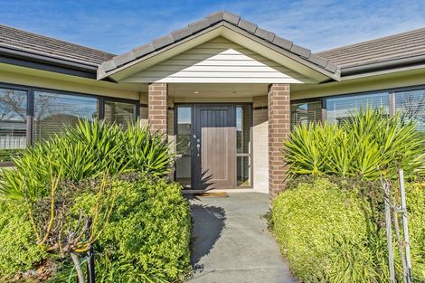 Photo of property in 103 Pegasus Boulevard, Pegasus, 7612