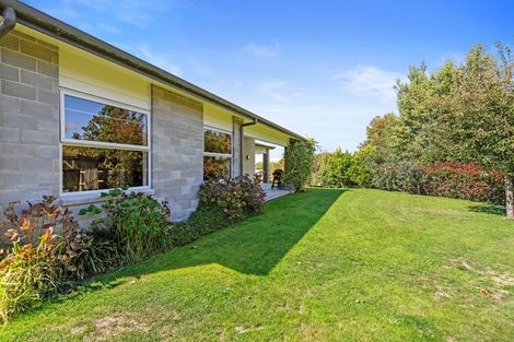 Photo of property in 18 Graham Place, Morrinsville, 3300