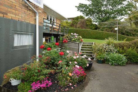 Photo of property in 51 Esk Street, Parkvale, Tauranga, 3112