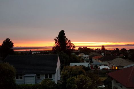 Photo of property in 109 Danby Street, Thames, 3500