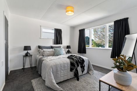 Photo of property in 19 Iorns Street, Masterton, 5810