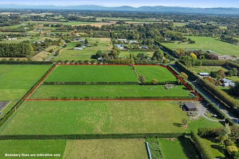 Photo of property in 111 Neeves Road, Kaiapoi, 7691