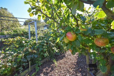 Photo of property in 55 Rawhiti Street, Musselburgh, Dunedin, 9013