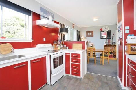 Photo of property in 68 Hillary Street, Winton, 9720