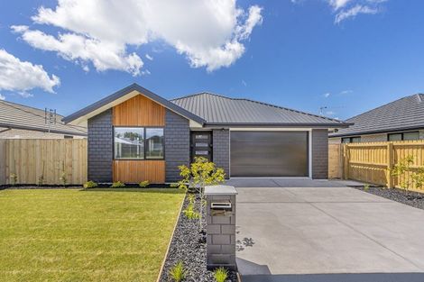 Photo of property in 15 Ellesmere Street, Marshland, Christchurch, 8083