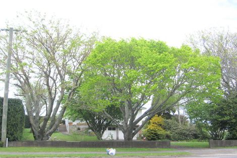 Photo of property in 98 Kenny Street, Waihi, 3610