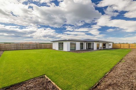 Photo of property in 29 Plover Avenue, Amberley, 7410