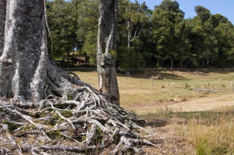 Photo of property in 1046 Work Road, Whakamarama, 3181