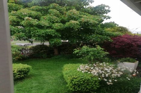 Photo of property in 165 Cambridge Street, Levin, 5510