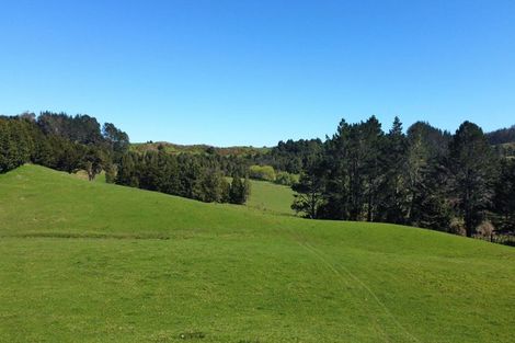 Photo of property in 97d-f Hillcrest Road, Kaikohe, 0405