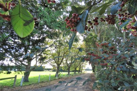 Photo of property in 39 Gap Road West, Winton, 9781