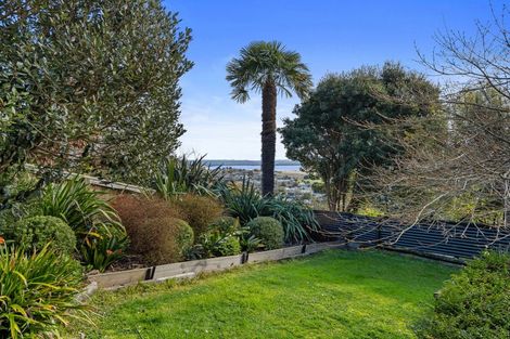 Photo of property in 52 Stansell Avenue, Tahunanui, Nelson, 7011