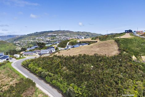 Photo of property in 11 Grumman Lane, Newlands, Wellington, 6037