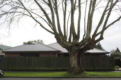 Photo of property in 25a Fifth Avenue, Enderley, Hamilton, 3214