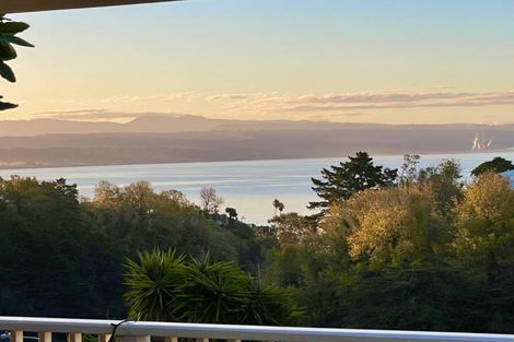 Photo of property in 9 Lincoln Road, Bluff Hill, Napier, 4110