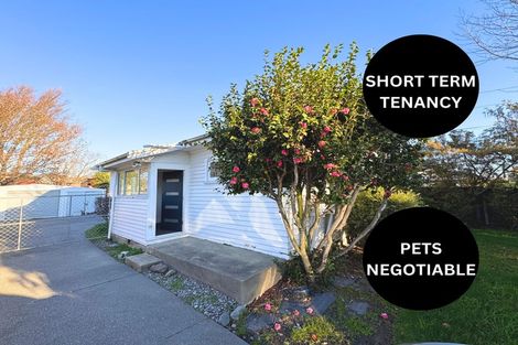 Photo of property in 20 Milton Street, Somerfield, Christchurch, 8024