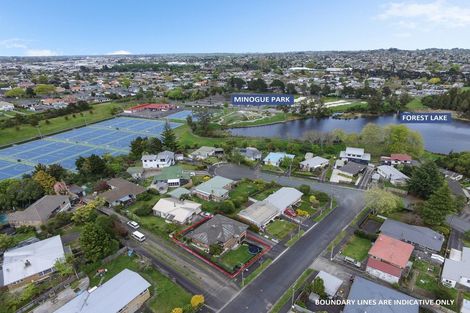 Photo of property in 99 Storey Avenue, Forest Lake, Hamilton, 3200