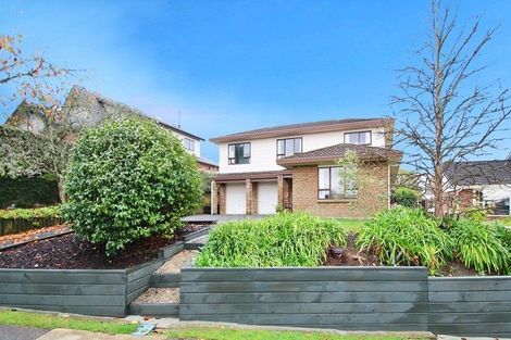 Photo of property in 58 George Street, Morrinsville, 3300