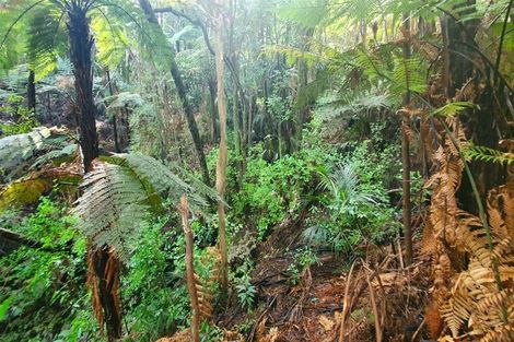 Photo of property in 101a Peria Road, Peria, Kaitaia, 0482