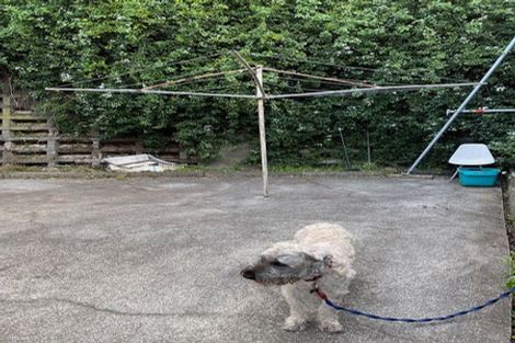 Photo of property in 462 Evans Bay Parade, Hataitai, Wellington, 6021