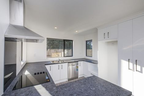 Photo of property in 29a Chelwood Street, Takaro, Palmerston North, 4412