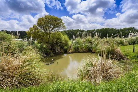 Photo of property in 842 Kahikatea Flat Road, Waitoki, Kaukapakapa, 0871