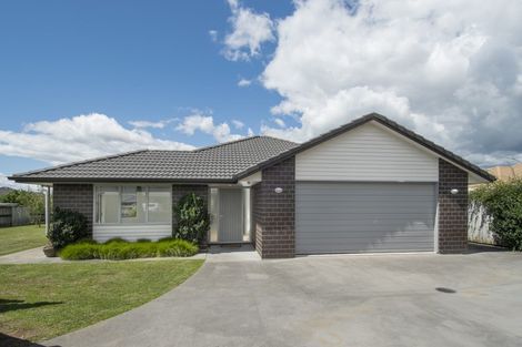 Photo of property in 17 Hoggard Place, Katikati, 3129