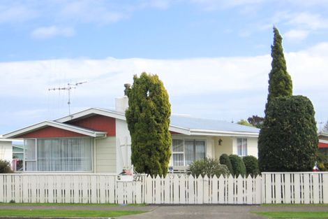Photo of property in 97 Tiro Tiro Road, Levin, 5510