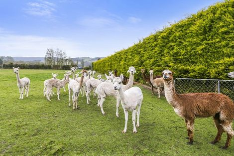 Photo of property in 66 Wingatui Road, Mosgiel, 9024