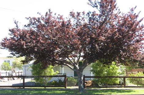 Photo of property in 21 Cobden Street, Gisborne, 4010