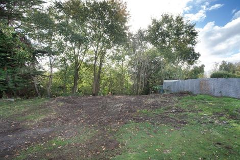 Photo of property in 11a Bredins Line, Marton, 4710