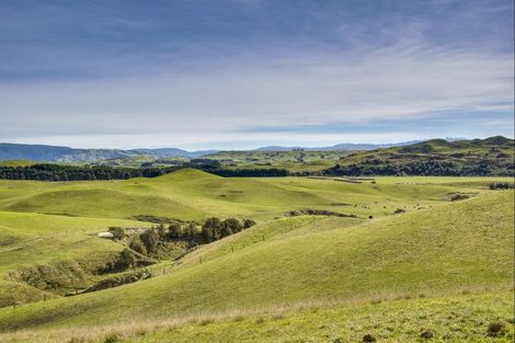 Photo of property in 1233 Kereru Road, Maraekakaho, Hastings, 4171