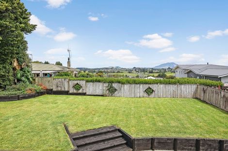 Photo of property in 117 Mcnair Road, Te Awamutu, 3800