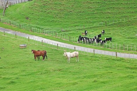 Photo of property in 569 Karioitahi Road, Lake Puketi, Waiuku, 2683