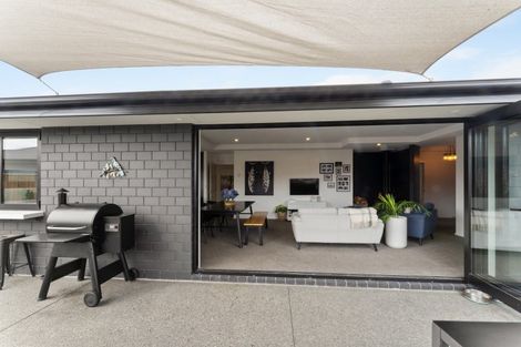 Photo of property in 29 Foxbridge Lane, Lincoln, 7608