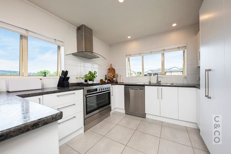 Photo of property in 19 Merlot Heights, Huapai, Kumeu, 0810