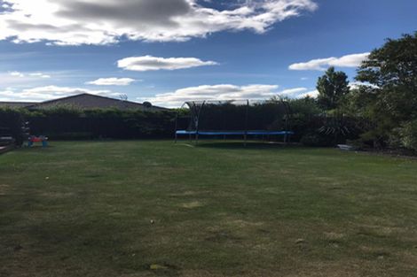 Photo of property in 17 Larne Place, Belfast, Christchurch, 8051